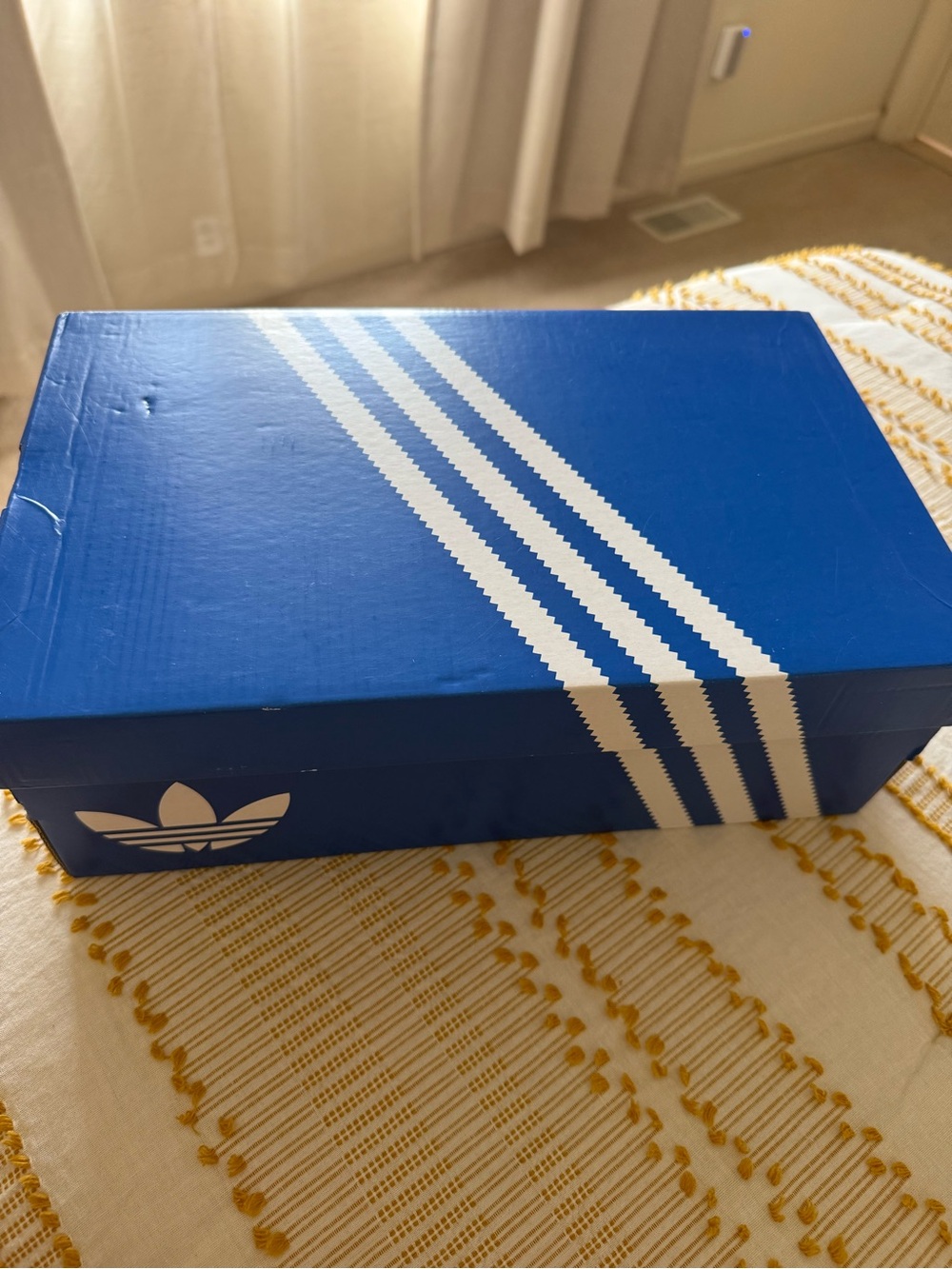 adidas Blue Box with White Three-Stripes and Trefoil